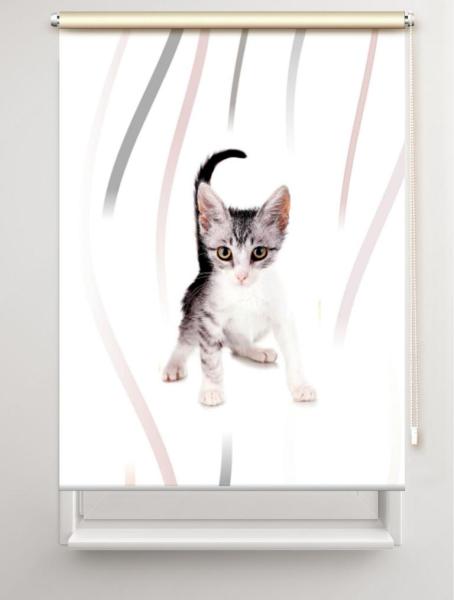 Rollo Loki vertic Katzenbaby, Rollo, Motivrollo, Rollo mit Druck, Fotorollo, bedrucktes Rollo, Fensterrollo,verdunkelndes Rollo, Sonnenschutz Rollo